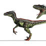 JP3 Male Velociraptor
