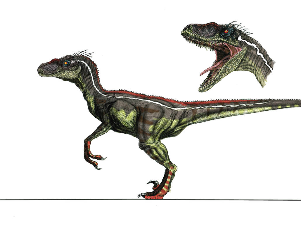 JP3 Male Velociraptor by yankeetrex on DeviantArt