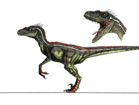 JP3 Male Velociraptor