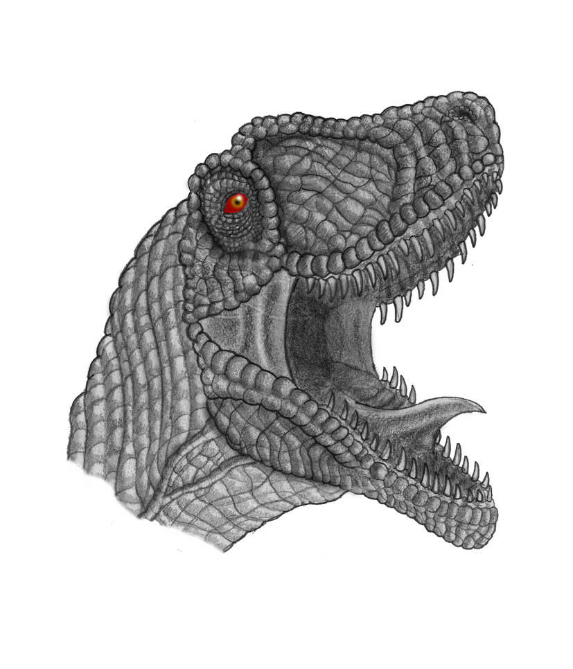 Raptor Head by yankeetrex on DeviantArt