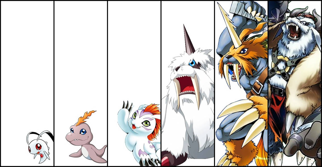 Gomamon - Evolution by Helsona on DeviantArt