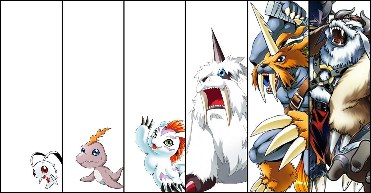 Gomamon - Evolution by Helsona on DeviantArt