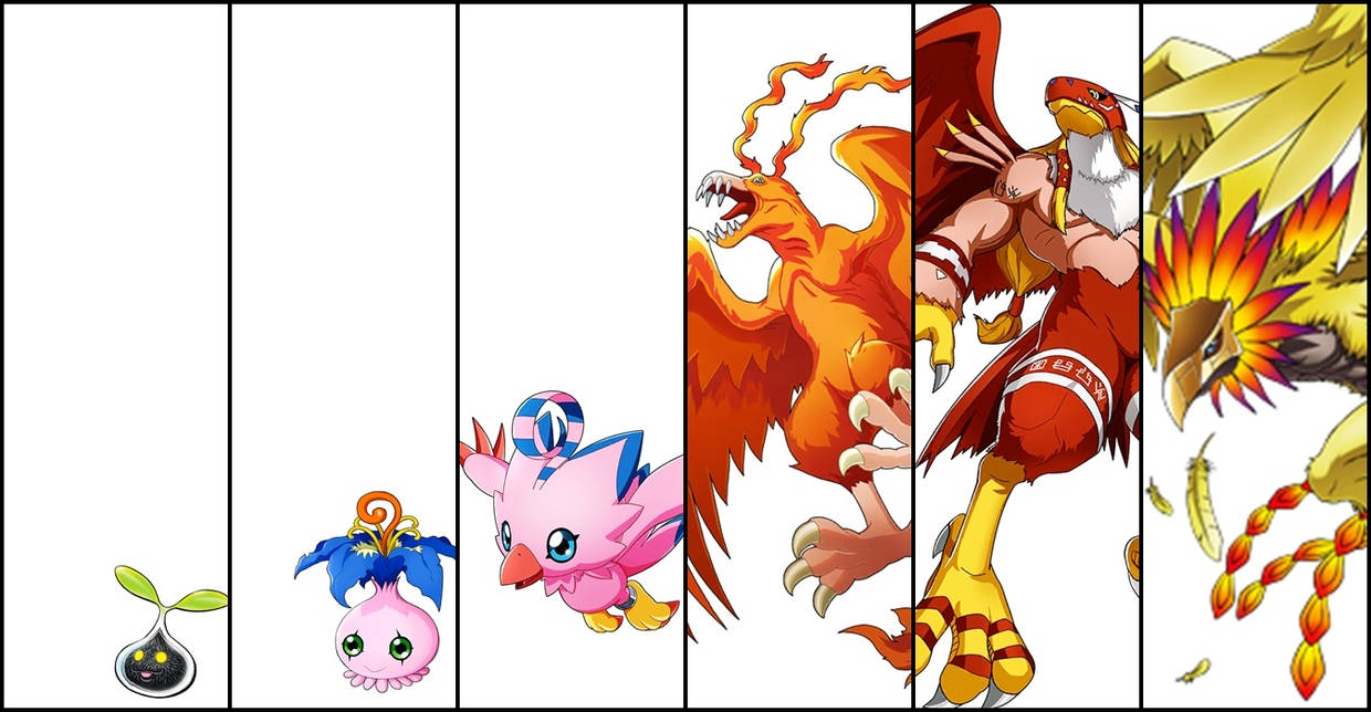 Piyomon - Evolution by Helsona on DeviantArt