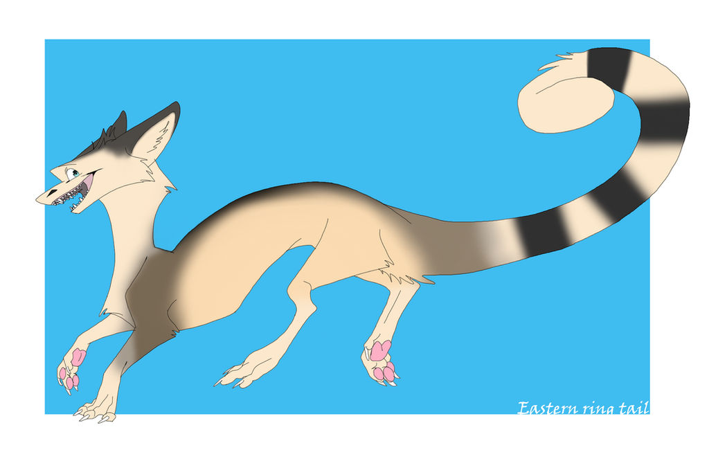 Deviantart Ringtail Custom Ring Tail by AshUTM1002 on DeviantArt
