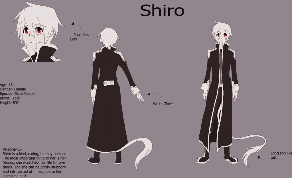 Shiro Reference sheet by AshUTM1002 on DeviantArt