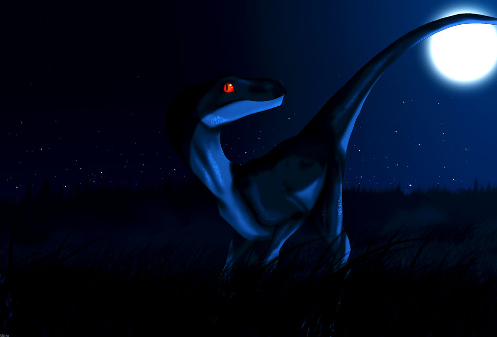 Midnight Raptor Raptor in the night.. by ShiroTheDragon123 on DeviantArt