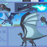 Dragon Shi Reference Sheet