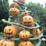 Pumpkins at disneyland