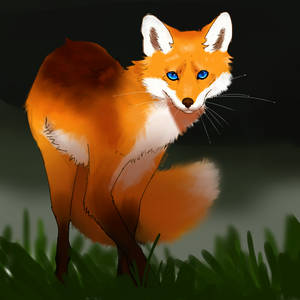 Fox