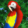 Fly Like A Bird - Red Macaw