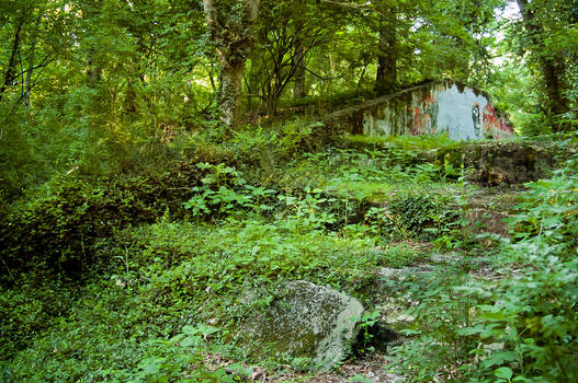 Green Steps HDR Test