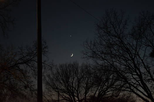 Venus Over The Moon