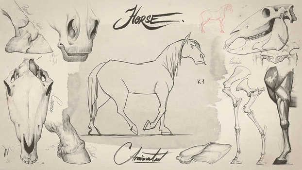 Horse animated