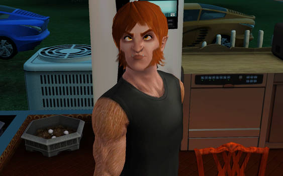 sims 3 - funny face 3