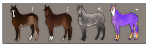 QUICK HORSE SALE--SPECIAL BREEDS--POINTS-- 2 LEFT by badazal