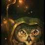 Old Owl