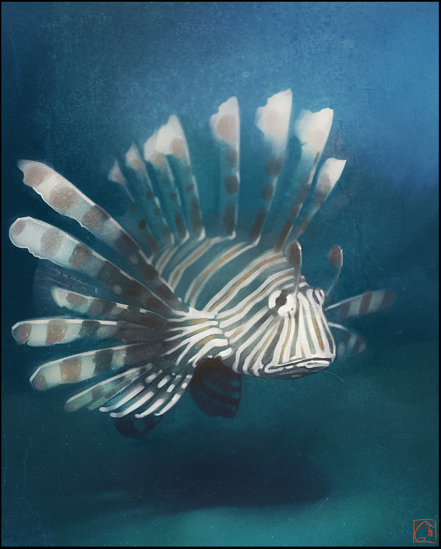 Lion fish