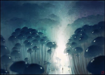 Mushrooms forest