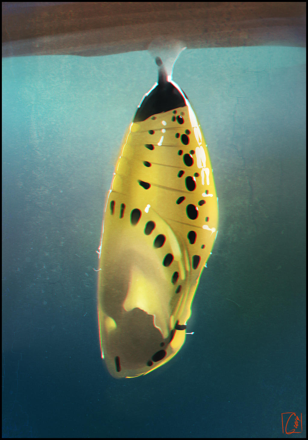 Cocoon by GaudiBuendia on DeviantArt