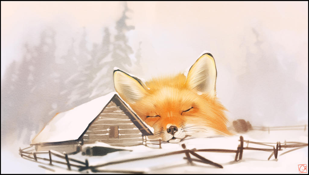 Winter fox