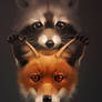 fox and raccoon