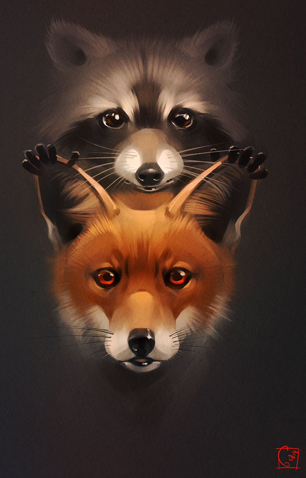 fox and raccoon