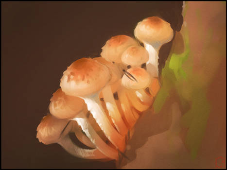 mushrooms