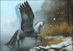 Winter Pegasus