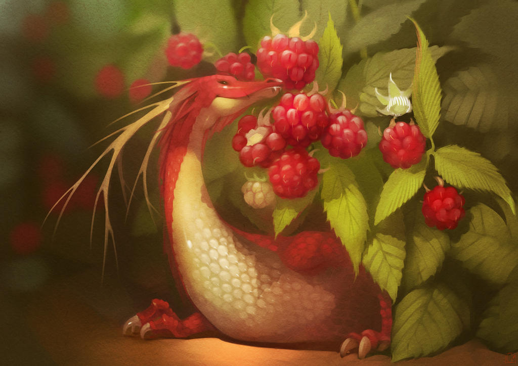 Raspberry dragon