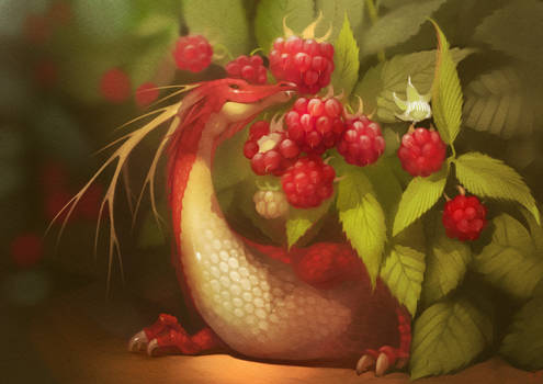 Raspberry dragon