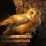 Golden owl