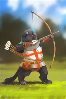 English archer