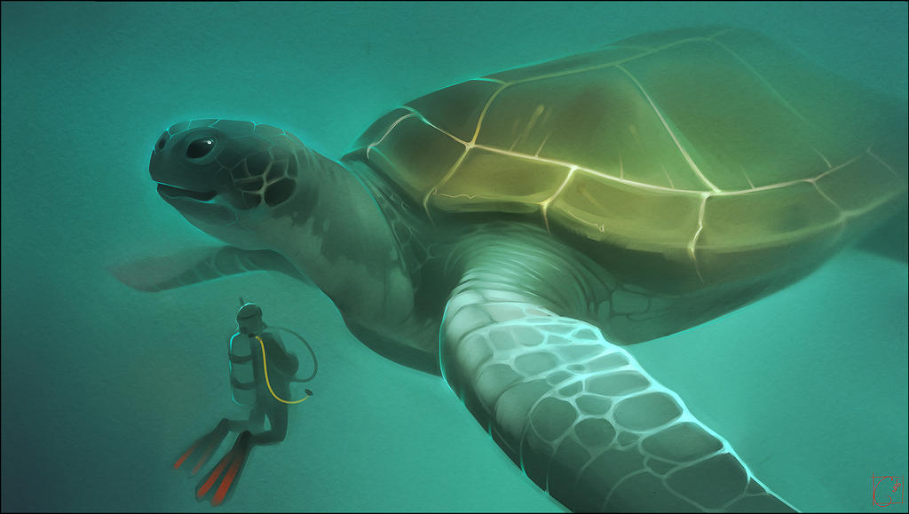 turtle by GaudiBuendia on DeviantArt