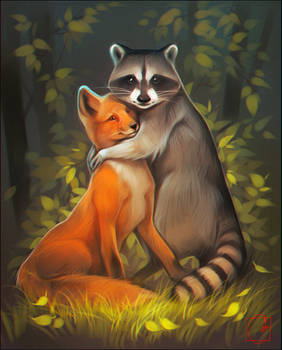 Raccoon and fox