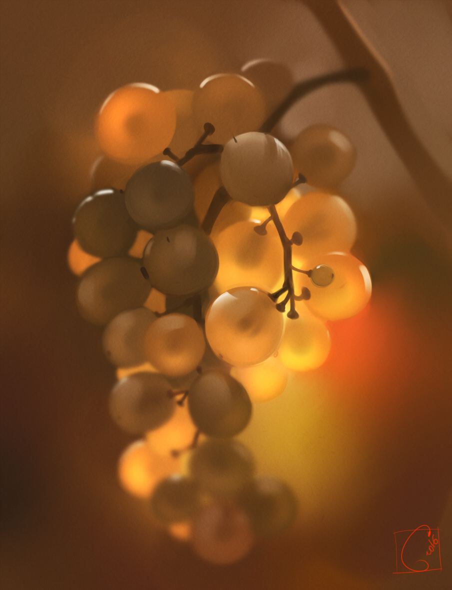 Grapes