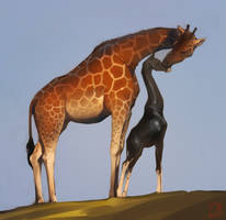 black giraffe