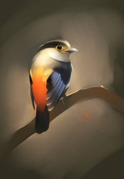 small and orange