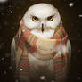 owl in scarf