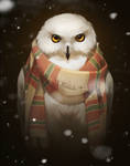 owl in scarf