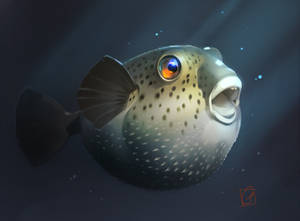 puffer fish by GaudiBuendia puffer fish by GaudiBuendia