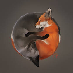 foxes