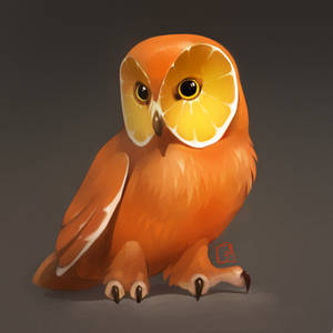 orange owl