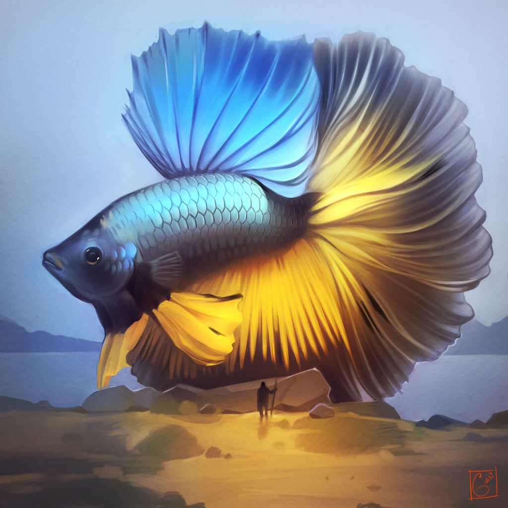 Betta Fish