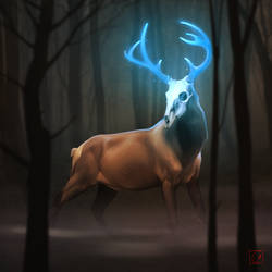 Deer