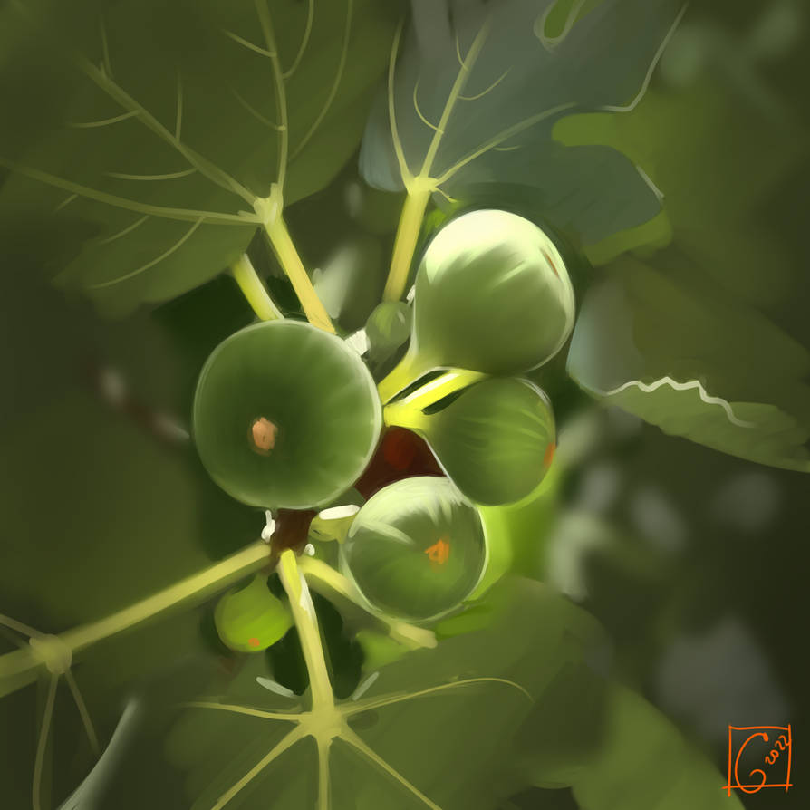 Fig Tree Vector Deviantart fig tree by GaudiBuendia on DeviantArt