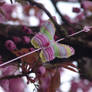 Pink butterflies