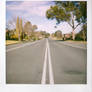 Suburbia Polaroid-4