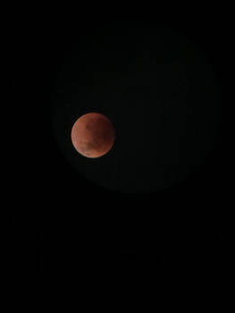 Redmoon 