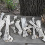 My bone collection