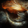 Mermaid Portrait 1